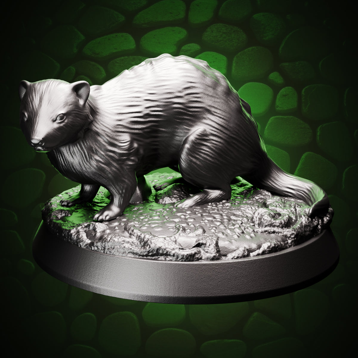 Ferret front