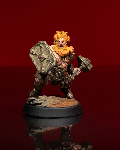 Dwarf Fighter - Hammer & Shield