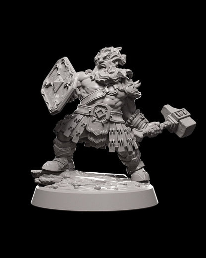 Dwarf Fighter - Hammer & Shield