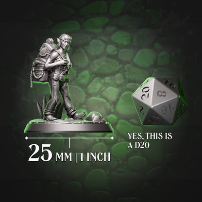 Gnome Artificer - Cartographer