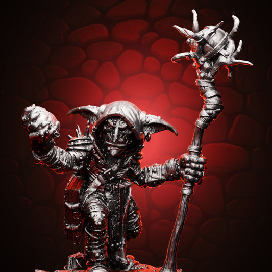 Goblin Wizard Cover