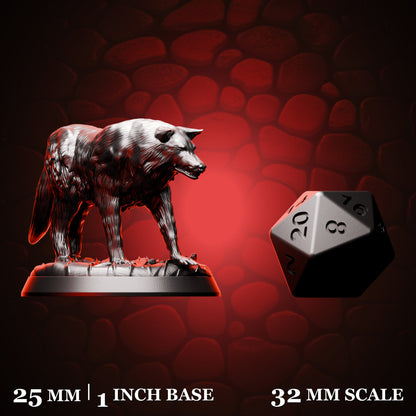 Grey Wolf shown beside a d20 for scale