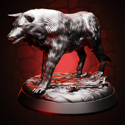 Grey Wolf, right view