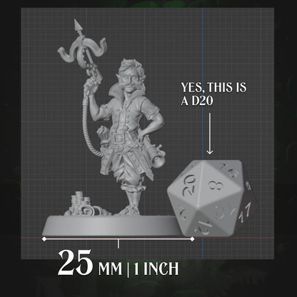 Halfling Rogue | Crossbow | 5e