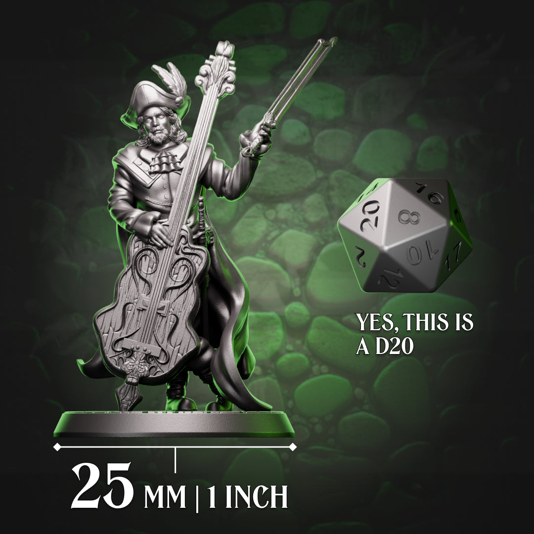 Human Bard - Viol