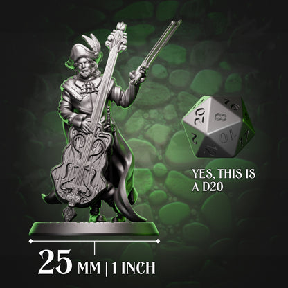 Human Bard - Viol