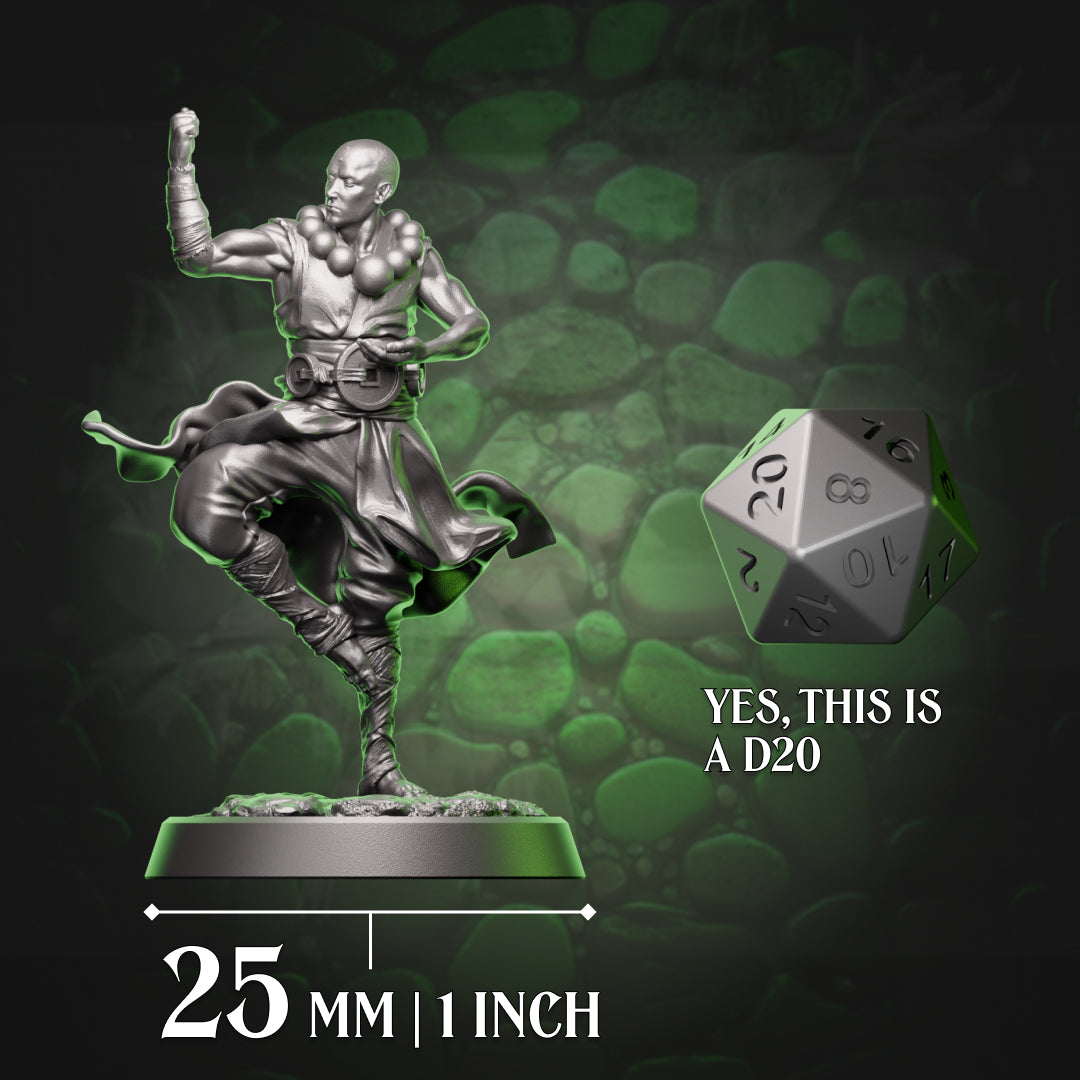 Human Monk - Balance