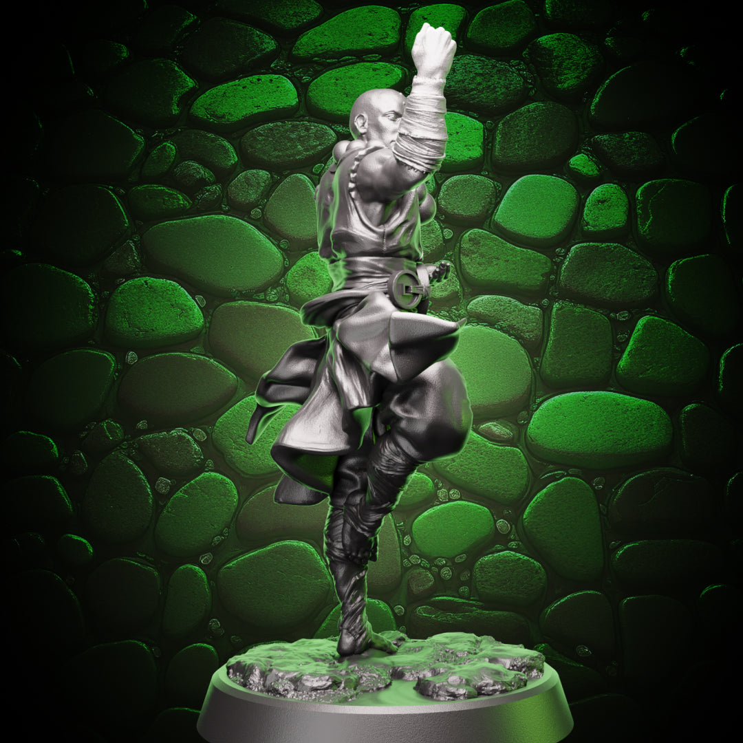 Human Monk - Balance