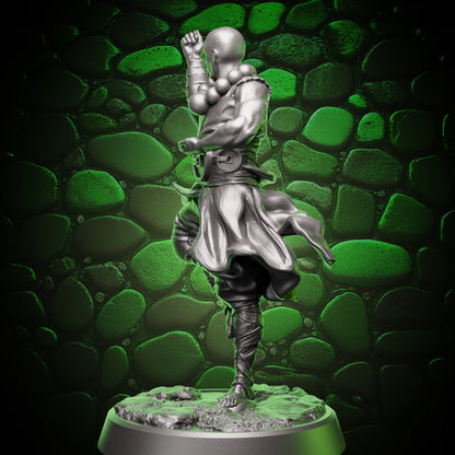 Human Monk - Balance