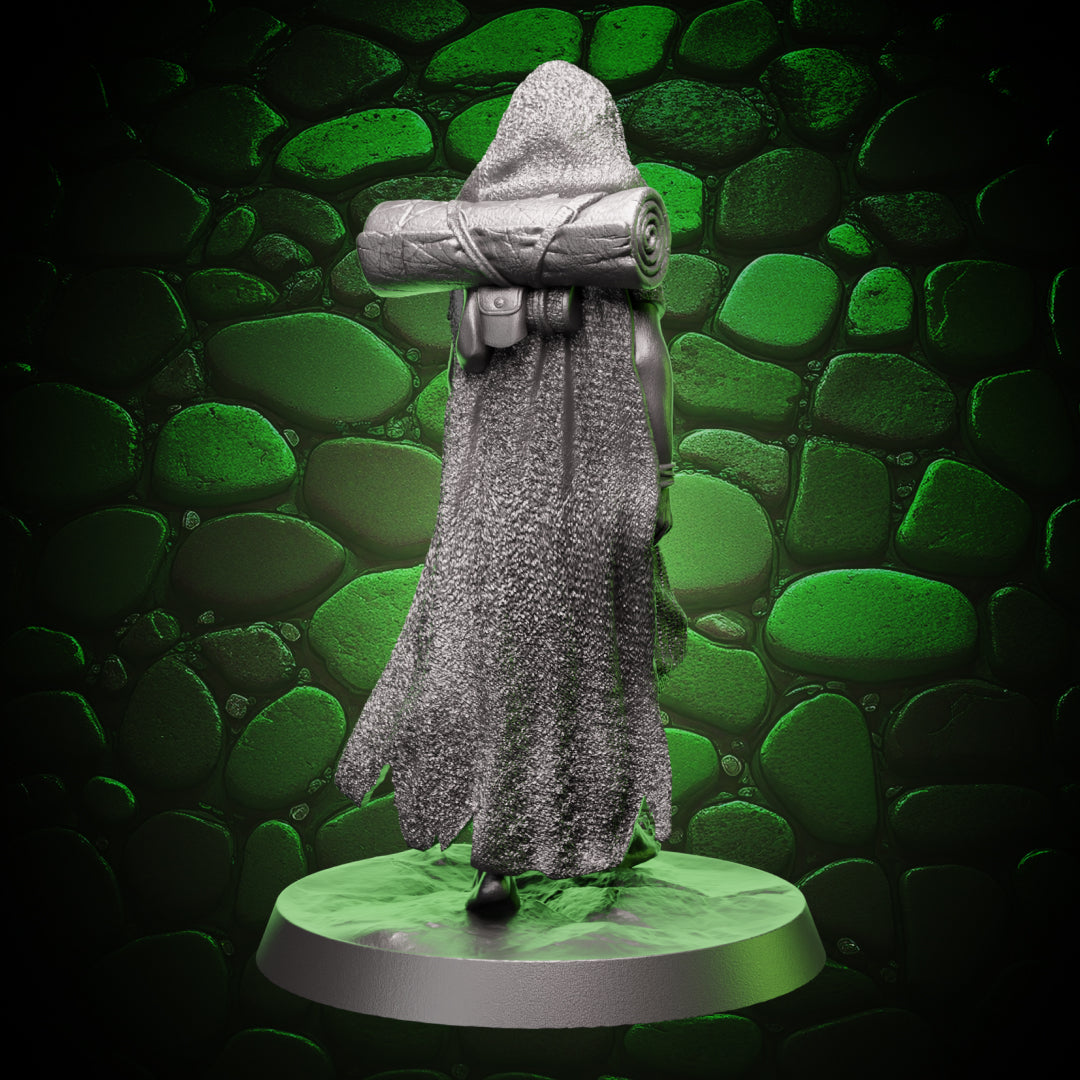 Human Monk - Wanderer