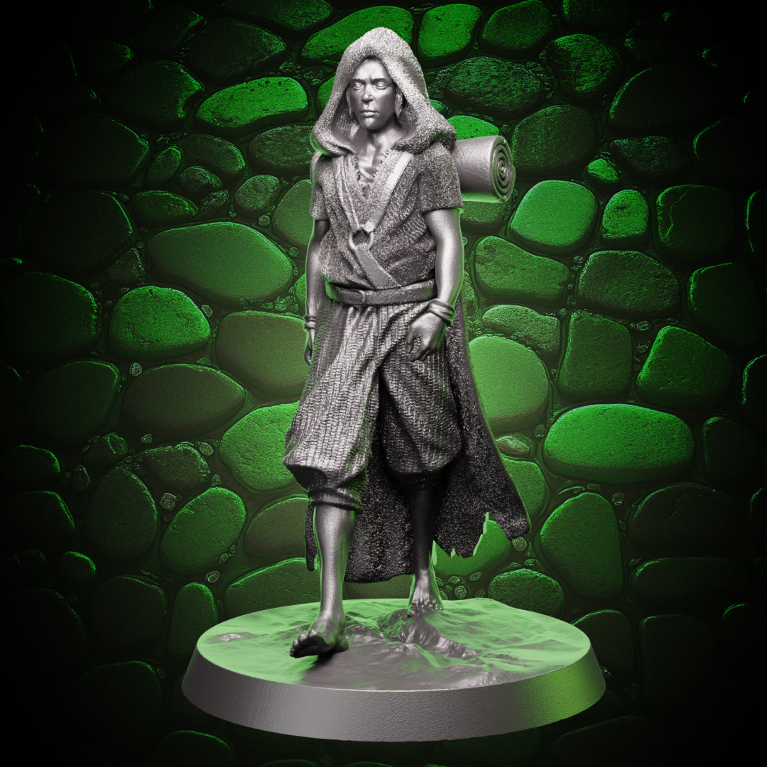 Human Monk - Wanderer
