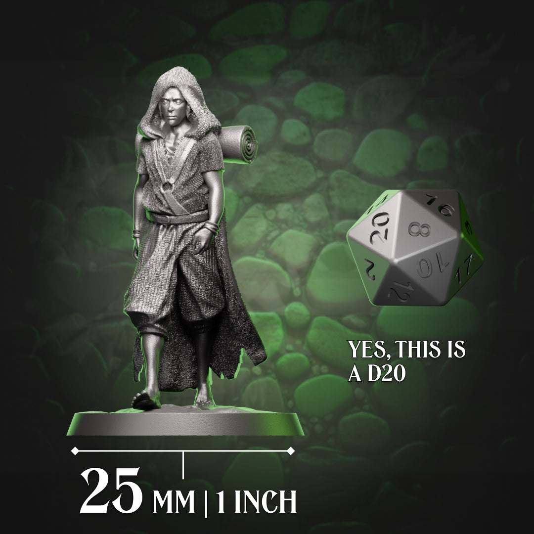 Human Monk - Wanderer
