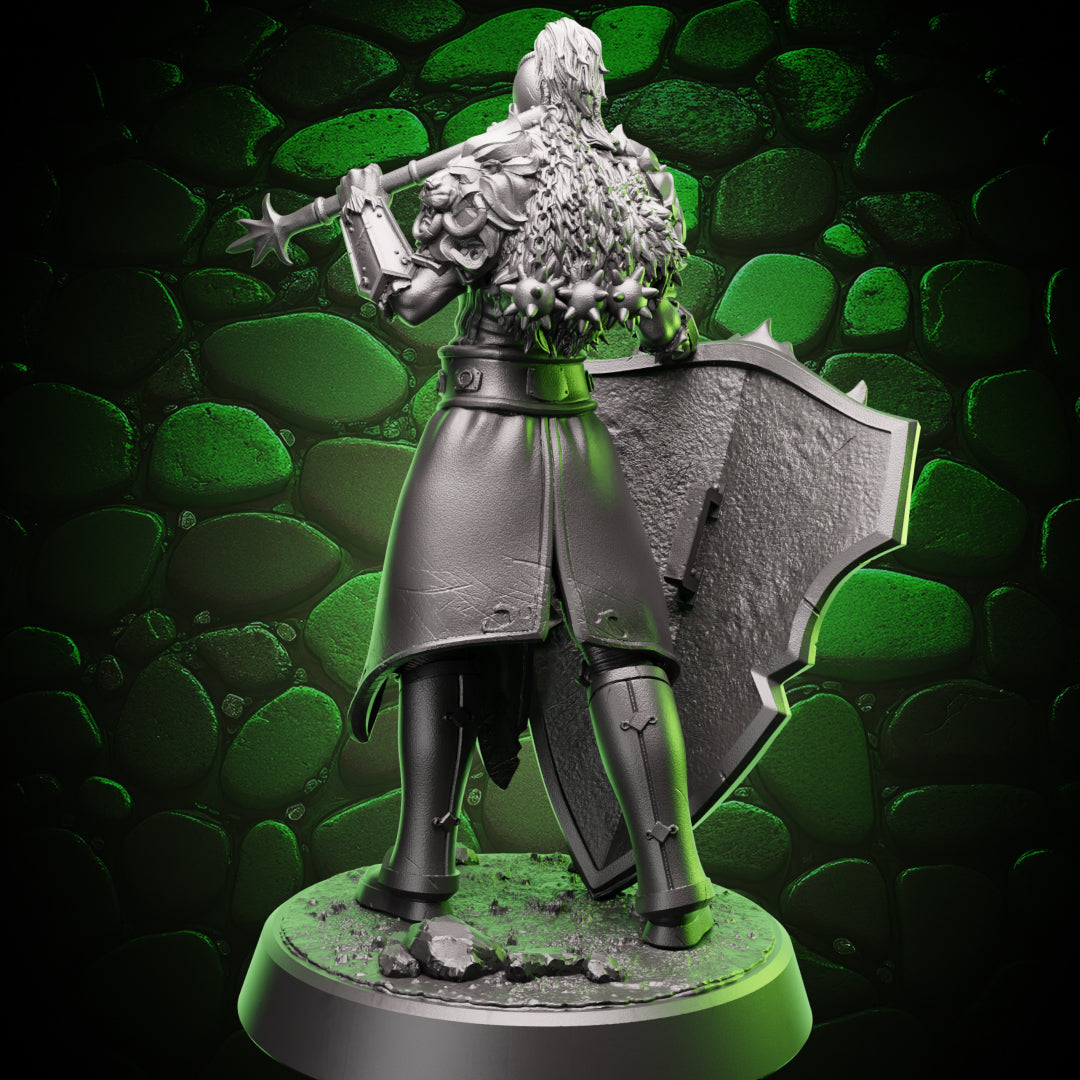 Human Paladin - Flail & Shield, rear view