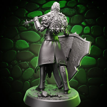 Human Paladin - Flail & Shield, rear view
