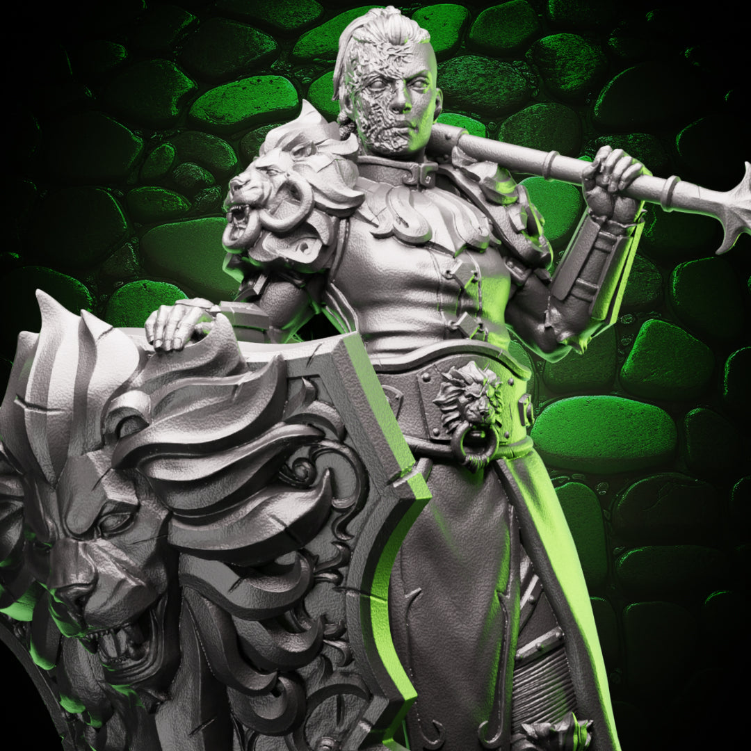 Human Paladin | Flail & Shield | 5e
