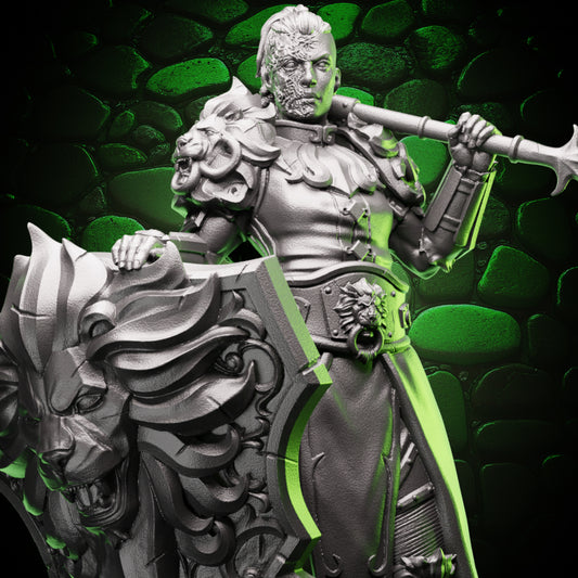 Human Paladin | Flail & Shield | 5e