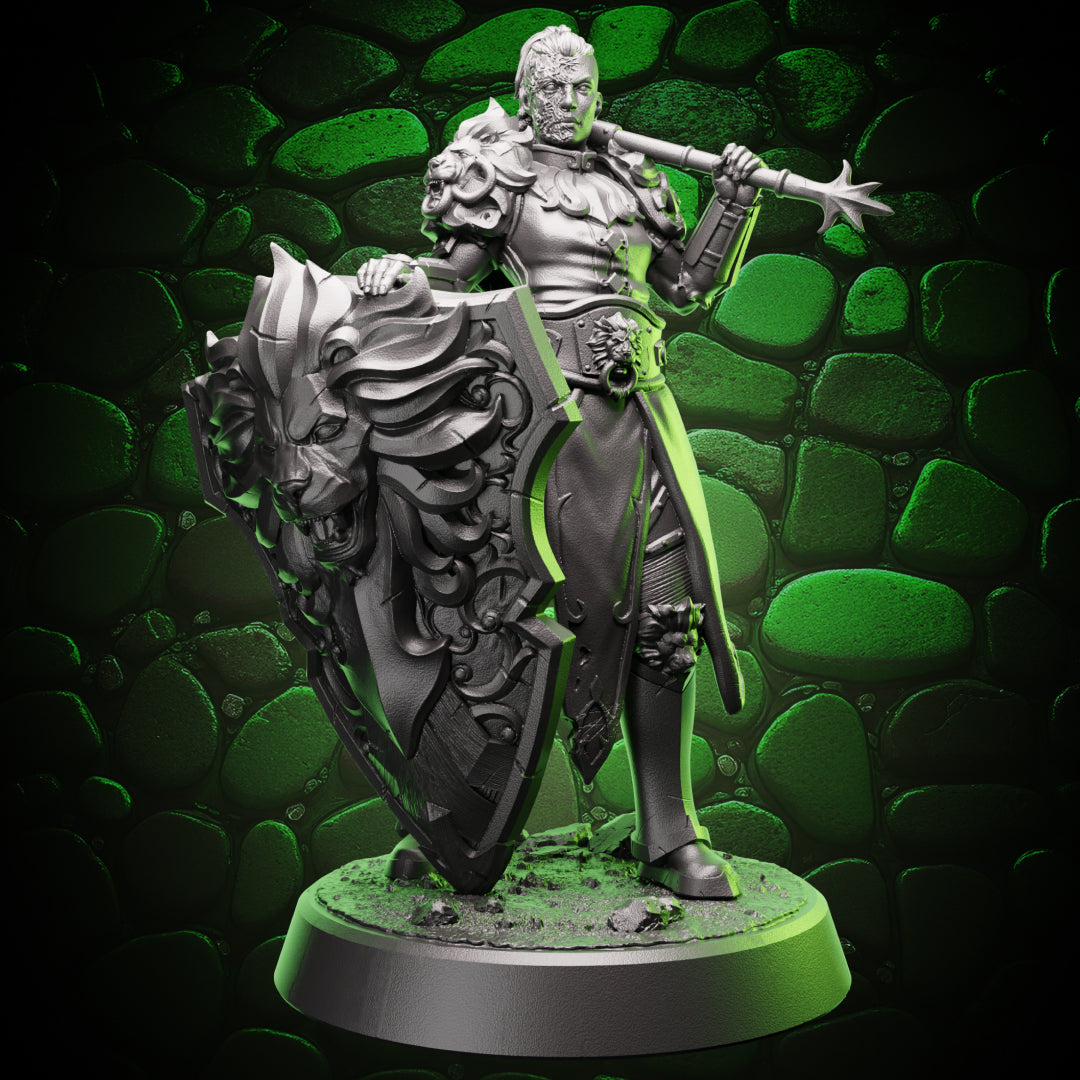 Human Paladin | Flail & Shield | 5e