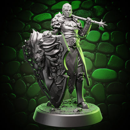 Human Paladin | Flail & Shield | 5e