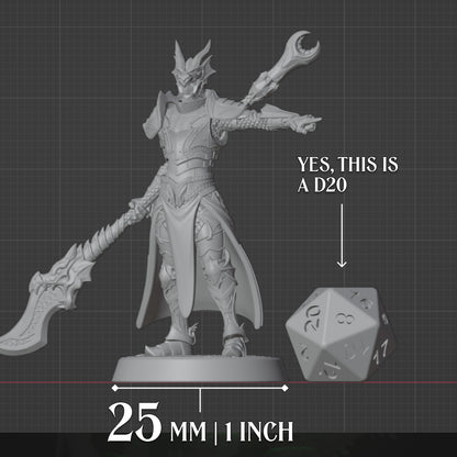 Human Paladin | Glaive | 5e