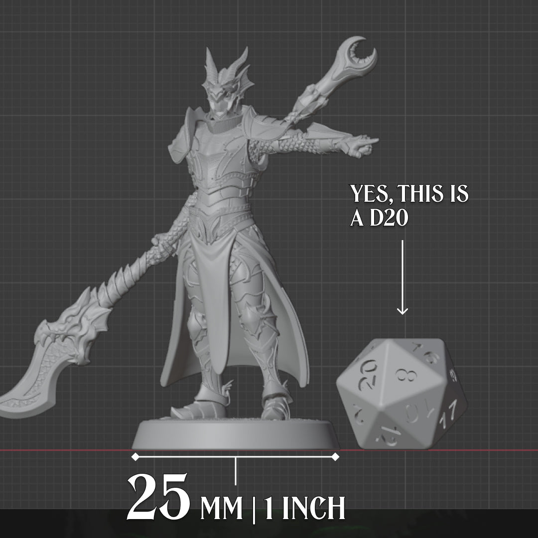Human Paladin - Glaive, scale view