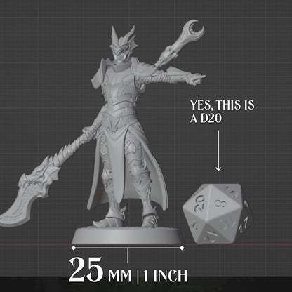 Human Paladin - Glaive, scale view