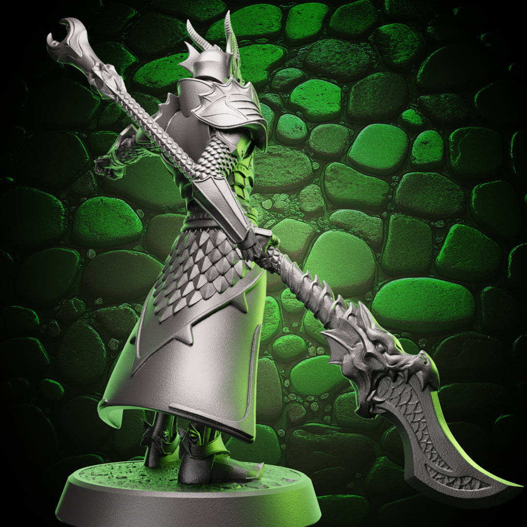 Human Paladin - Glaive, rear view