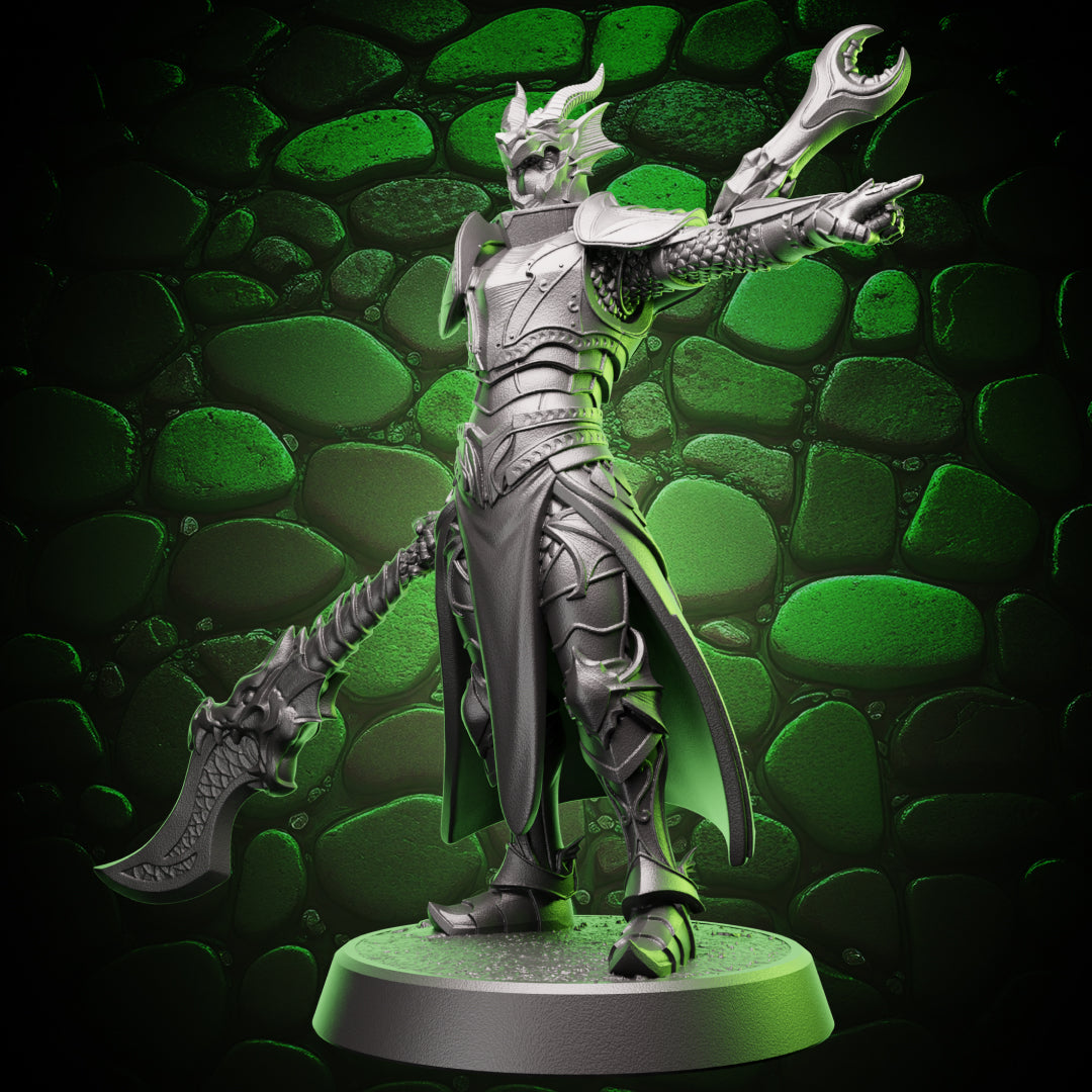 Human Paladin | Glaive | 5e