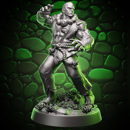 Human Monk - Stonefist