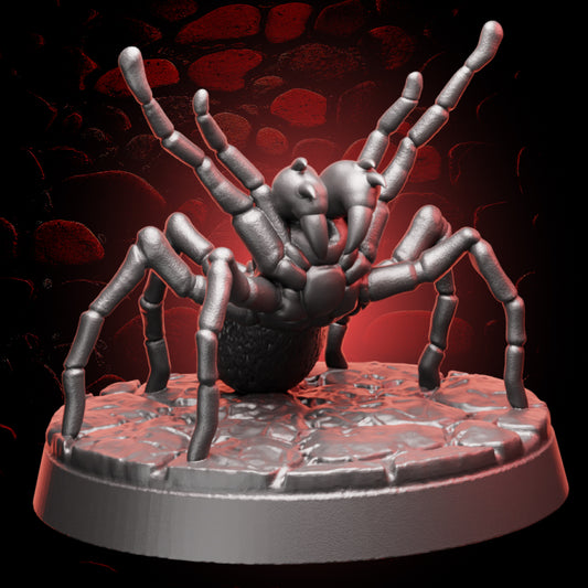 Huntsman Spider | 5e