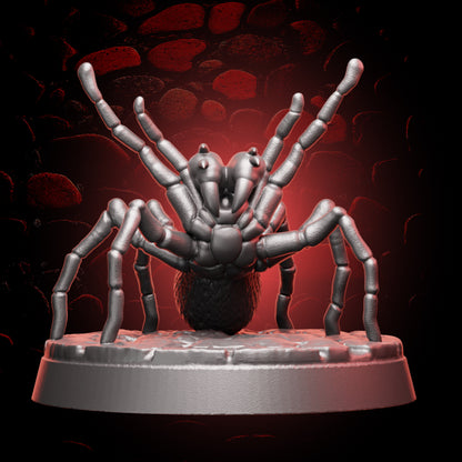 Huntsman Spider
