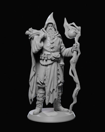 Human Wizard - Staff