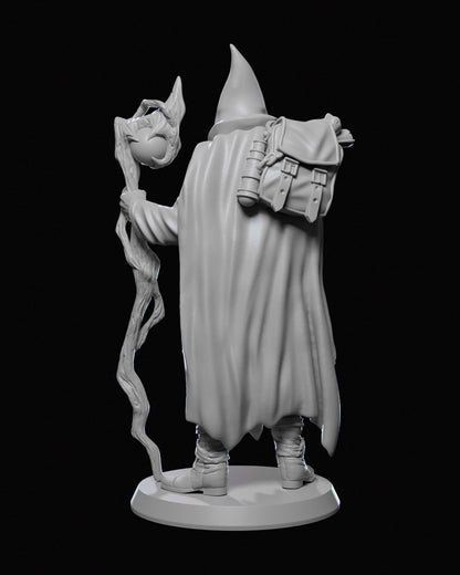 Human Wizard - Staff