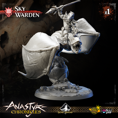 Sky Warden | Anastyr Chronicles