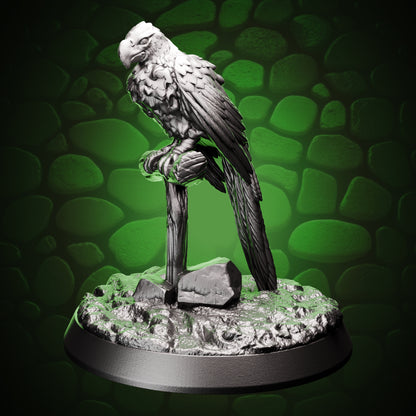 Parrot front