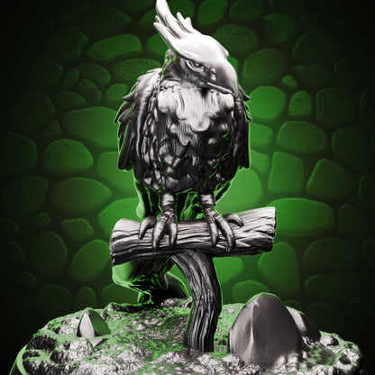 Phoenix Casual Cover