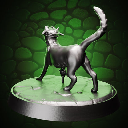Pirate Cat back