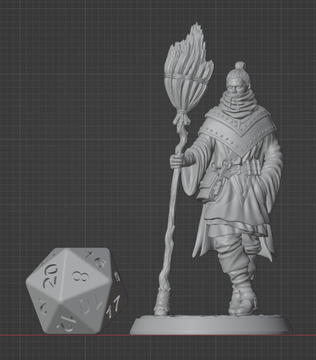 Human Sorcerer | Broom | 5e