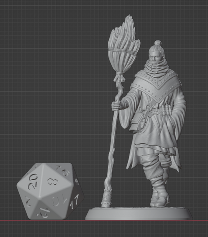 Human Sorcerer | Broom | 5e
