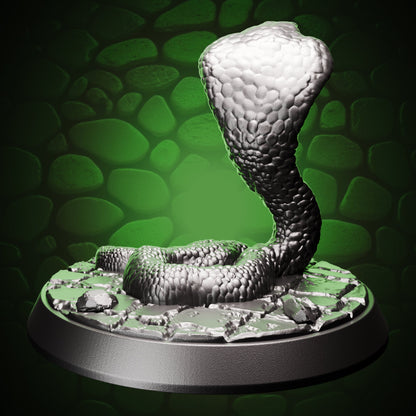 Snake Cobra - Attack back