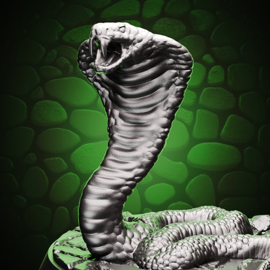 Snake Cobra - Attack Cover
