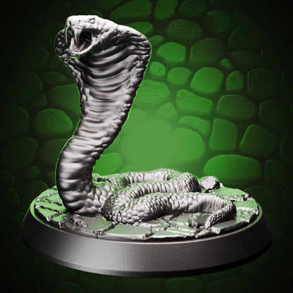 Snake Cobra - Attack front