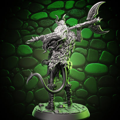 Tiefling Barbarian | Axe | 5e