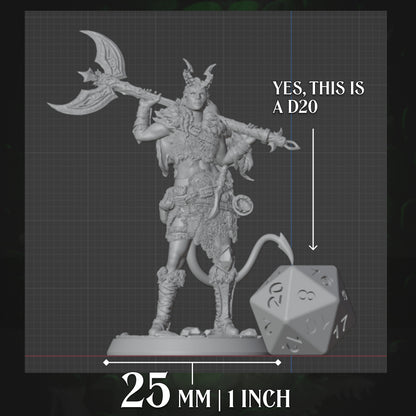 Tiefling Barbarian | Axe | 5e