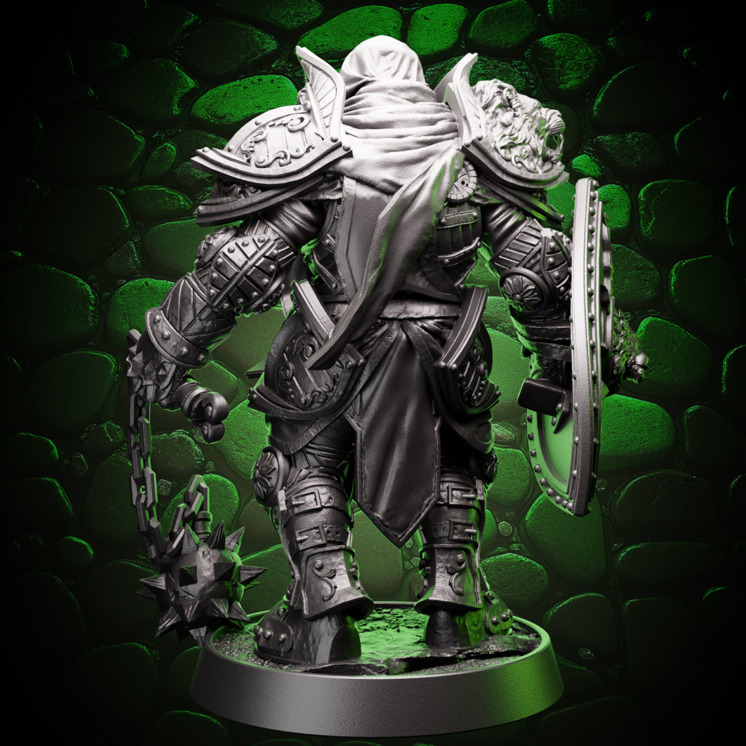 Warforged Paladin - Flail