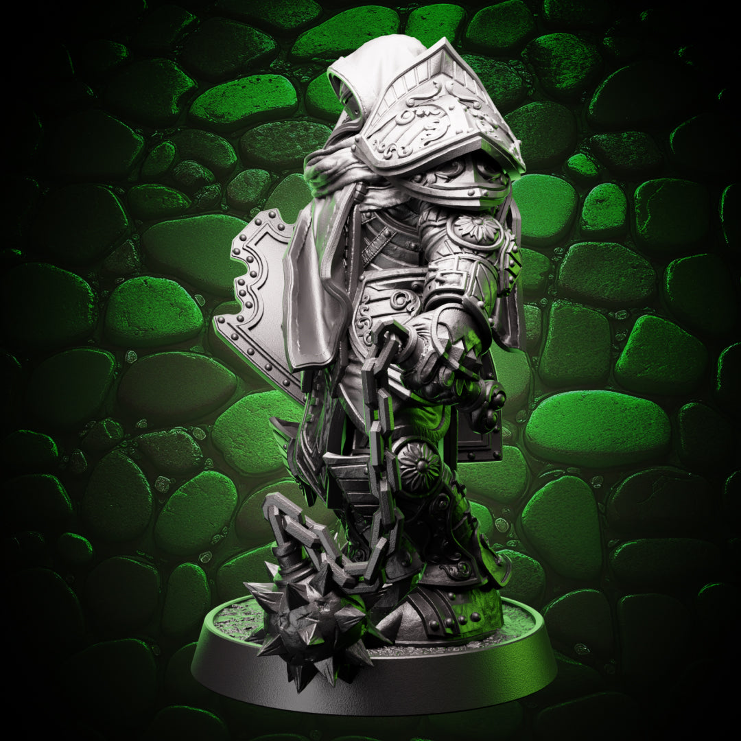 Warforged Paladin - Flail