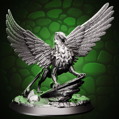 Young Gryphon