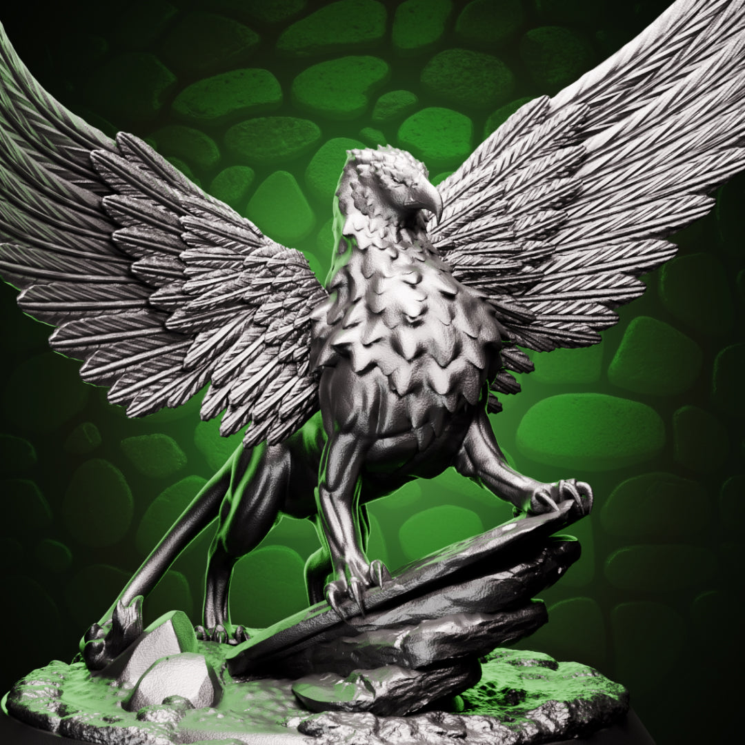 Young Gryphon