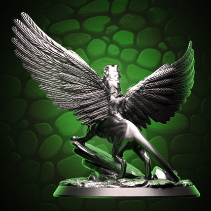 Young Gryphon back