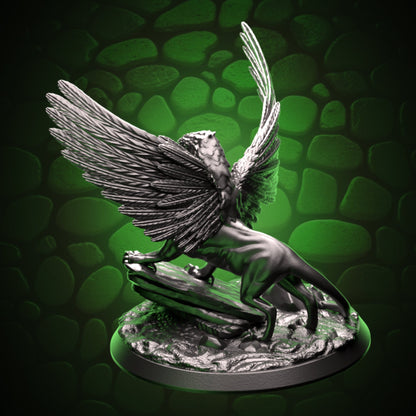 Young Gryphon Topleft