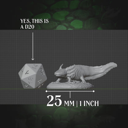 Axolotl Familiar miniature shown beside a scale marker D20 for tabletop sizing comparison. The text reads 25mm and 1 inch